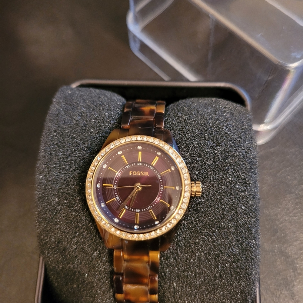 Fossil Watch